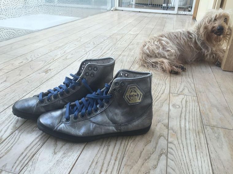 Thumb 13607903 522523261281071 678855045 n