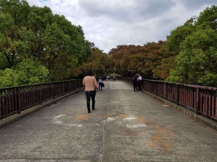 Thumb 45221923 249016372632268 936043901179920384 n