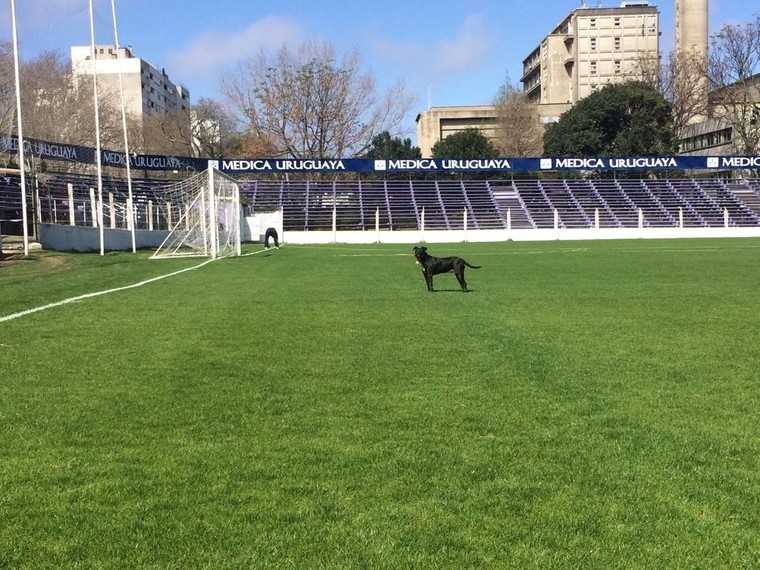 Thumb e69dbee58e9fe38195e382936e381ae1